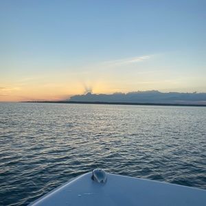 Meet your Posher, Bridget